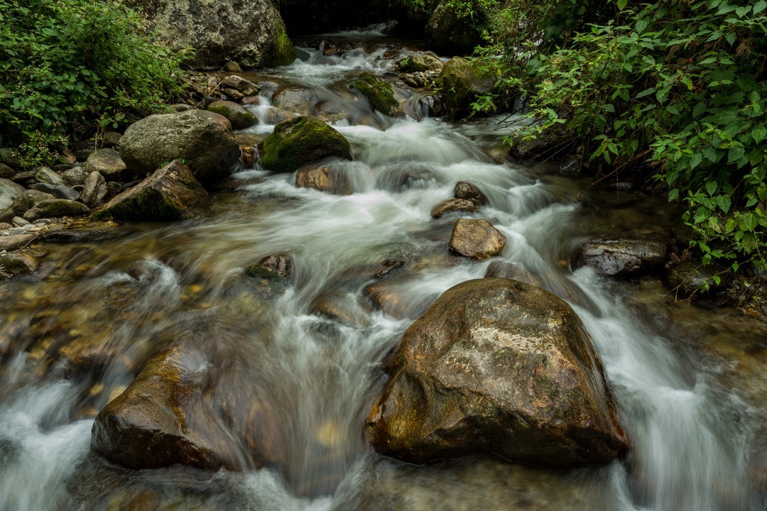 Bhutan Nature & Culture Trek