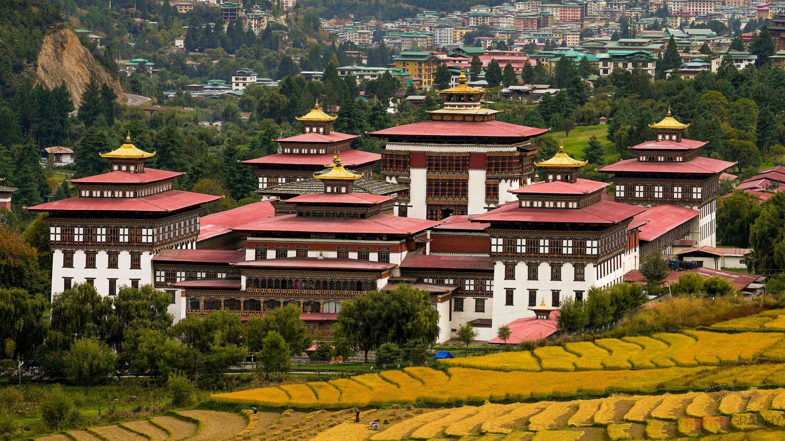 Thimphu Tshechu Festival Tour