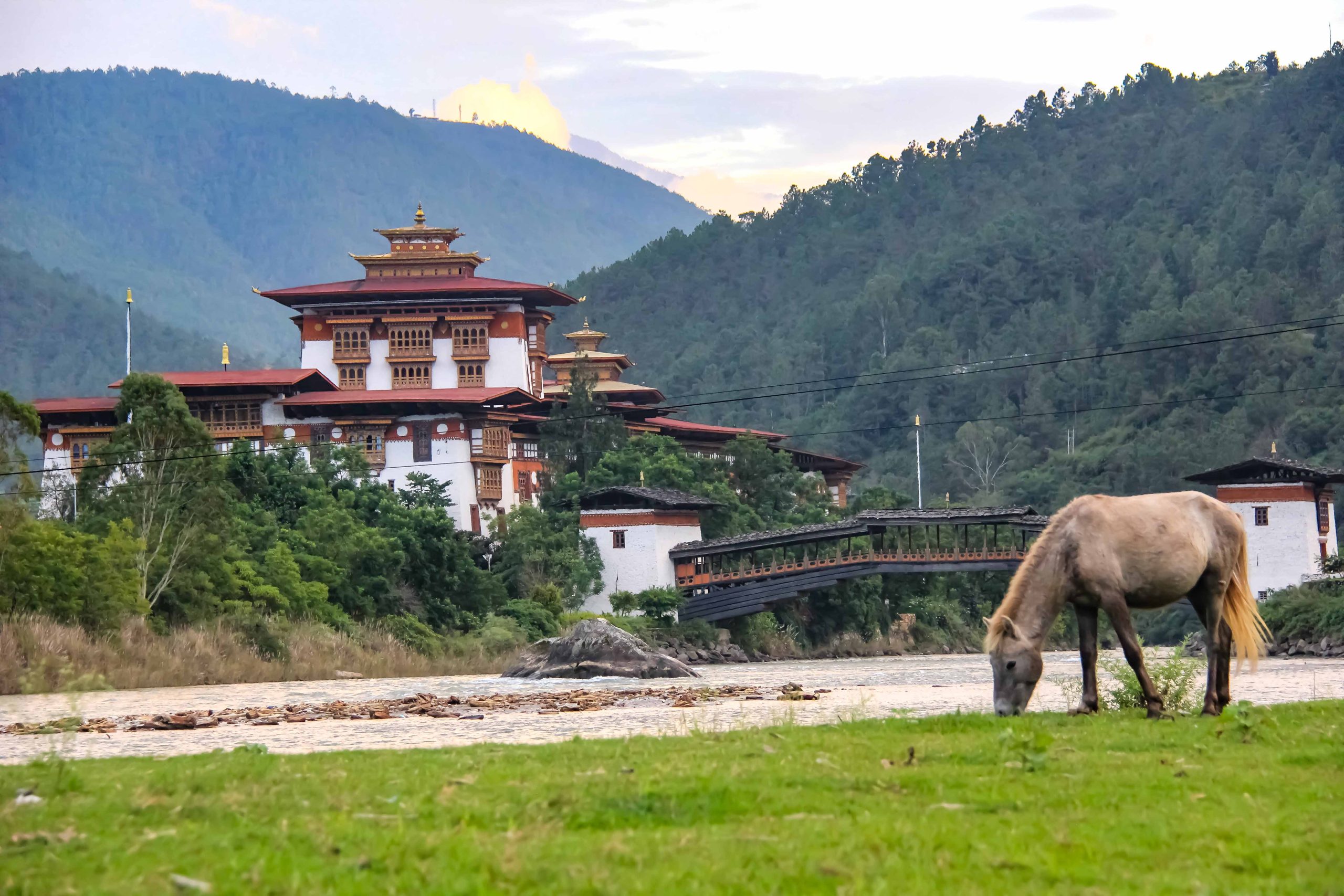 Bhutan Traditions Immersion Tour